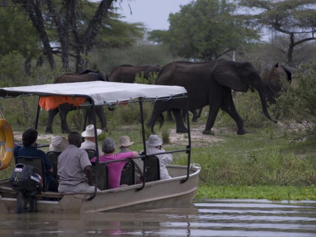 5_Boat_safari_5