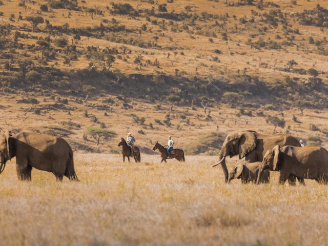 Horse riding experienced