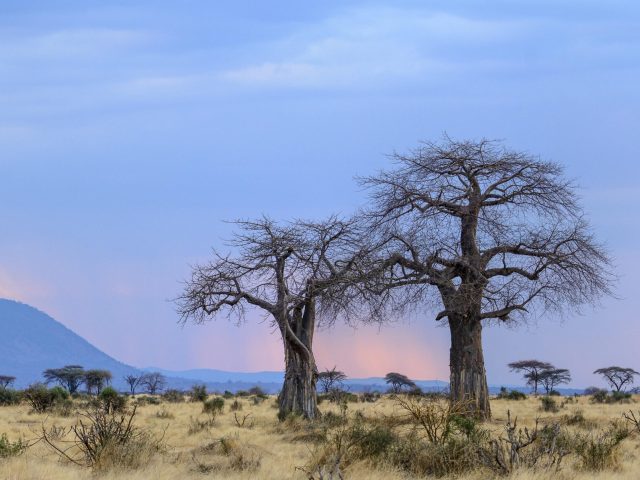 Jabali Private house Ruaha Landscape