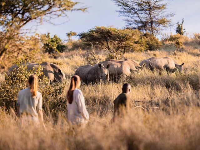 gamewalk_012_prvtwilderness_tcunniffe_hr_1