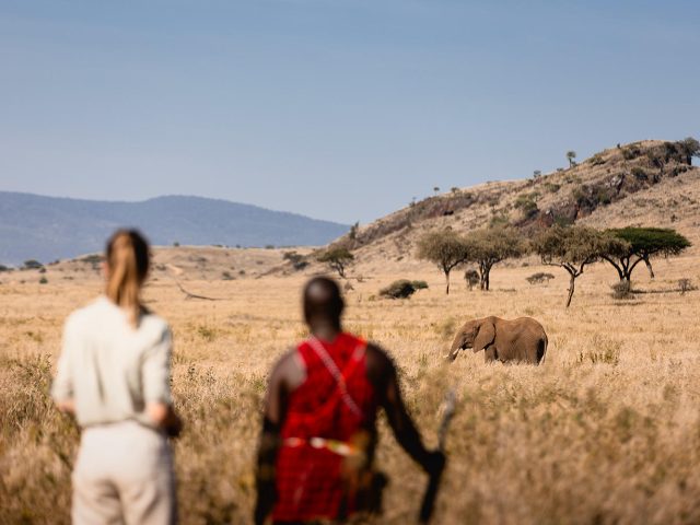 gamewalk_029_prvtwilderness_tcunniffe_hr